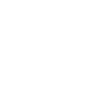 white document checkmark icon